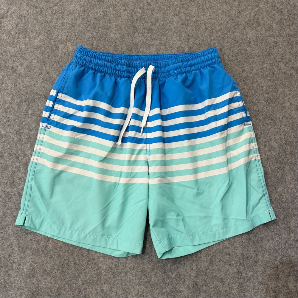 Chubbies Blue Striped On The Horizons Board Shorts Swim Trunks Men's Size Small